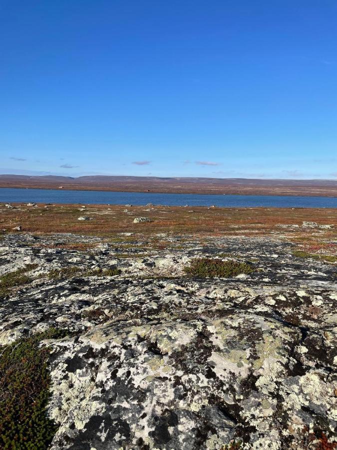 Ekkeroy Lodge - Arctic Living Вадсё Экстерьер фото